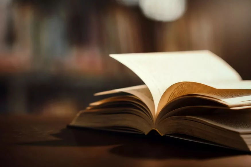 Bachelor of Arts in Literature and Language Studies in Tanzania