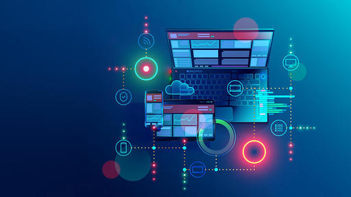 Bachelor of IT Application and Management in Tanzania