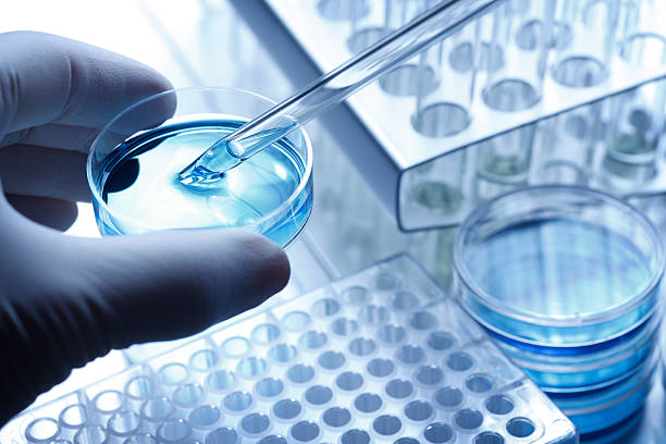 Bachelor of Science in Applied Biology in Tanzania