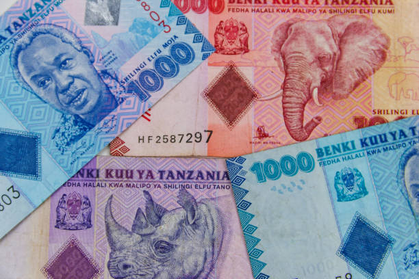 Best Currencies To Use In Tanzania