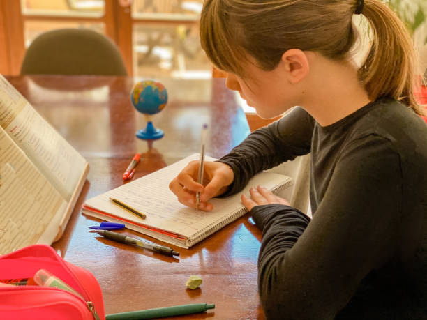 Best Free Homeschool Curriculum for 12th Grade