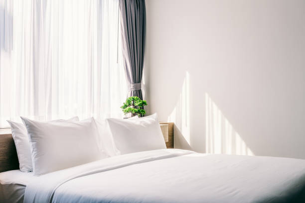 Best Hotels In Kigoma