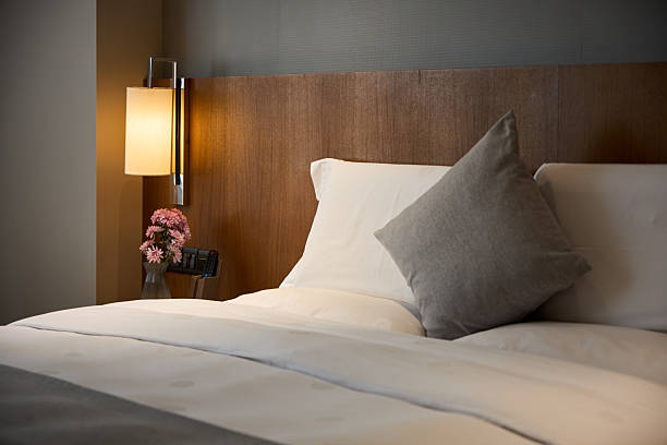 Best Hotels In Moshi Tanzania