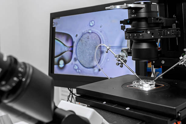 Best IVF Clinic In Tanzania