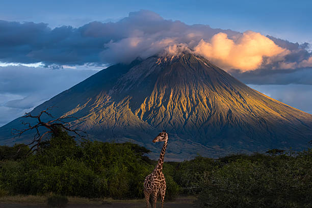 Best Places To Go In Tanzania