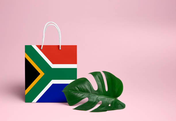 South Africa Insights & Tips