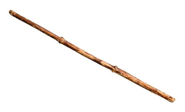Meaning of Dreaming About a Stick